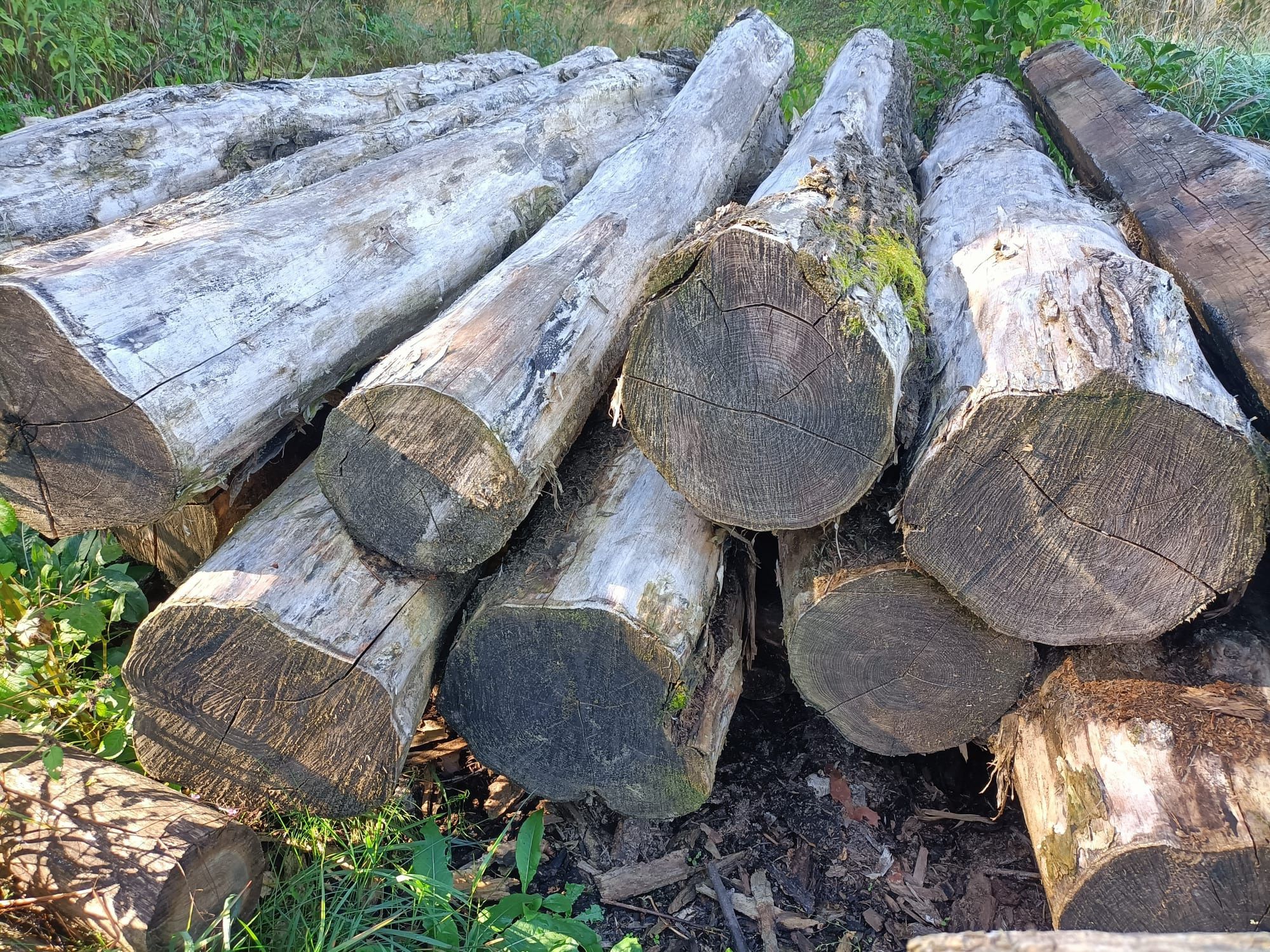 Drewno KOMINKOWE sezonowane