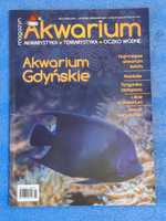 Akwarium akwarystyka terrarystyka oczko wodne