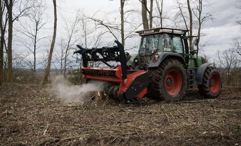 Karczowanie usługi mulczerem leśny wycinka drzewa samosiejek