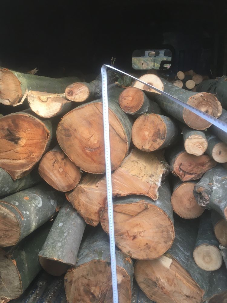 продам дрова палевні