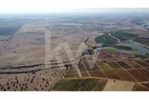 Herdade de amendoal em Beja com 79 ha