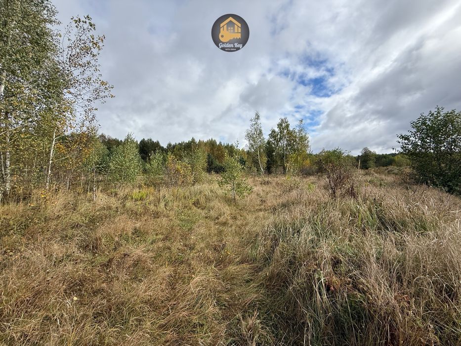 Продам земельну ділянку 7га, серед сосен, с.Рови