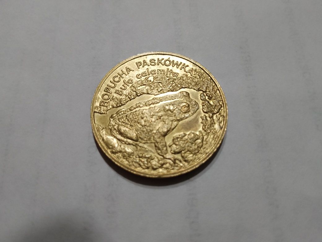 Moneta Ropucha Paskówka- Bufo Calamita