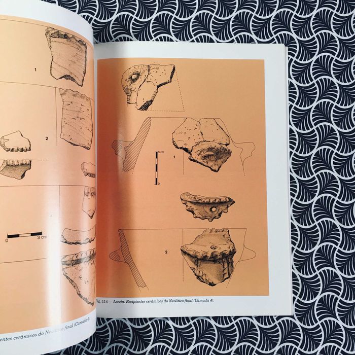 Leceia (1983 a 1993): Escavações do Povoado Fortificado pré-histórico