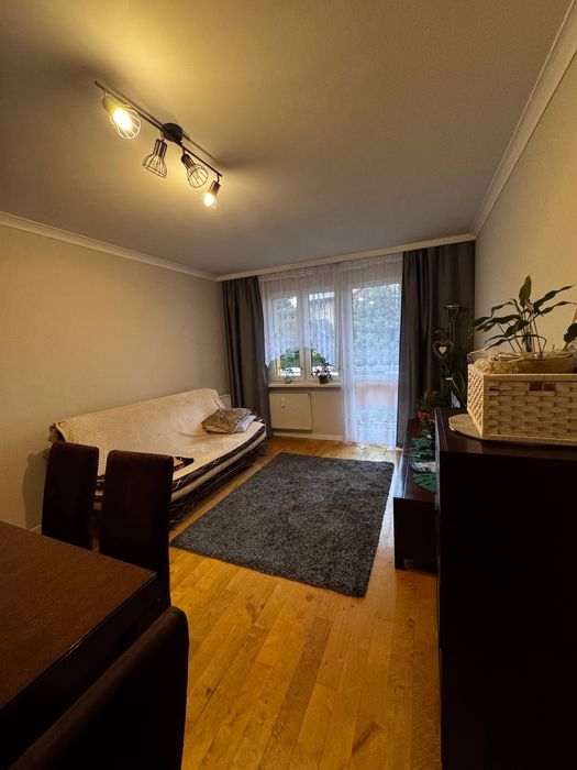 Krosno mieszkanie na wynajem 49m2