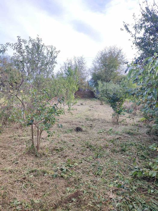 Продаж дачного будинку по вул.Набережна