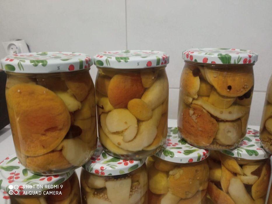 Borowiki marynowane grzyby słoik 540 ml