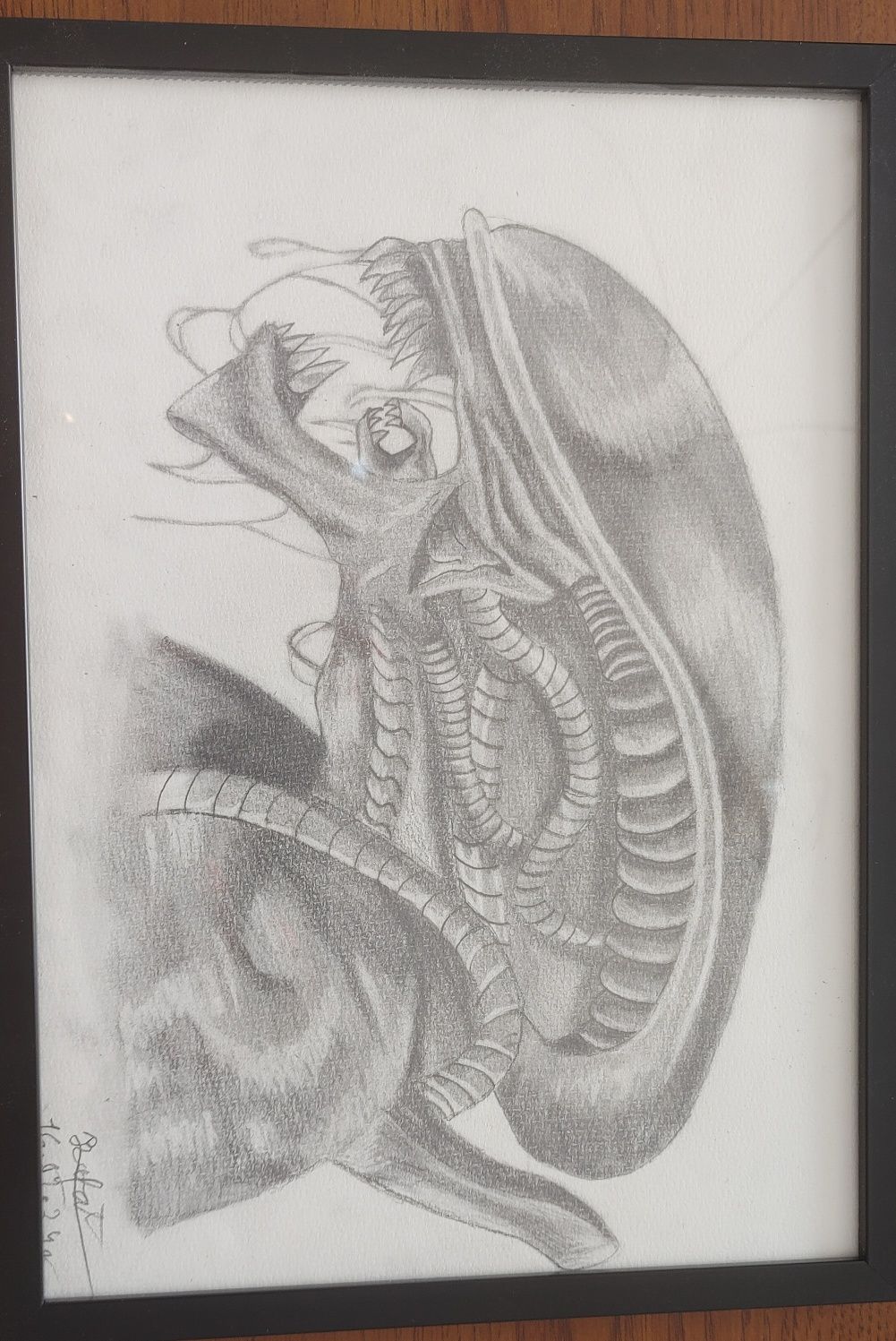 Rysunek Ksenomorf Xenomorph