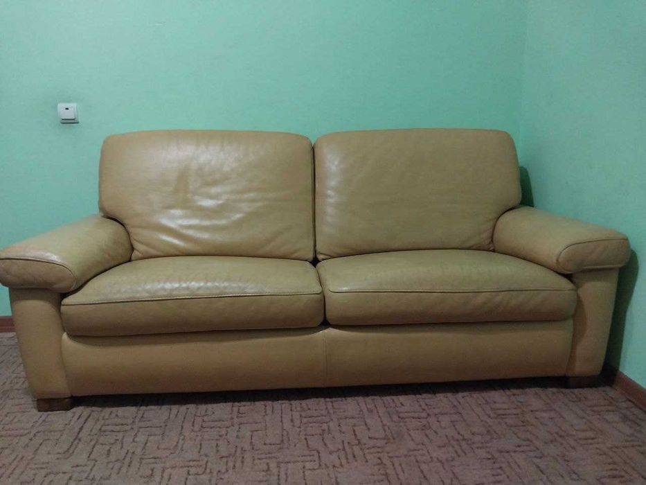 двомісний шкіряний диван