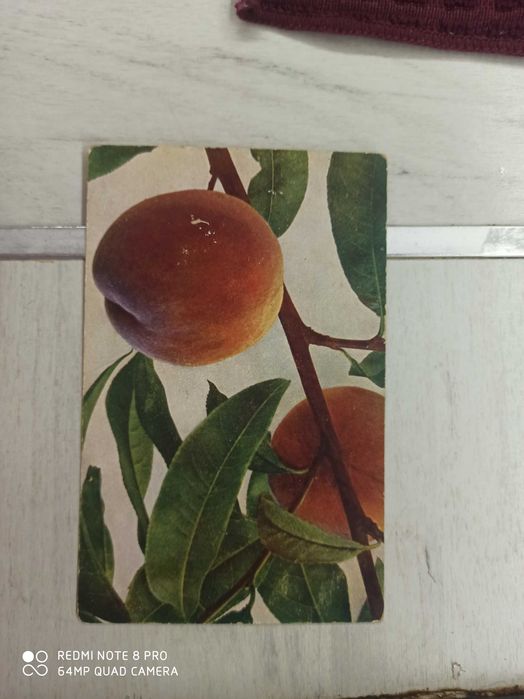 Открытки антиквариат фрукты.