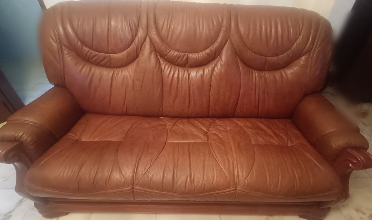 Sofa de madeira e pele
