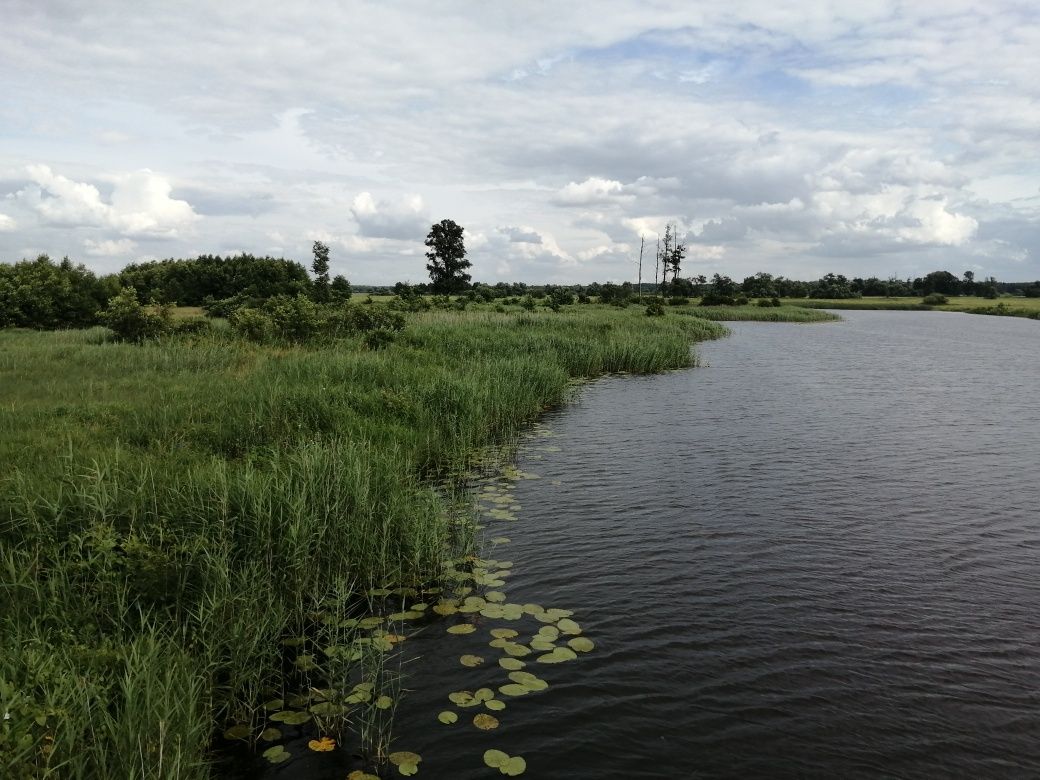 Domek letniskowy / pracowniczy nad Wieprzem, Kock, Firlej