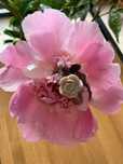 Naszyjnik Love Rose Quartz Różowy kwarc, róża