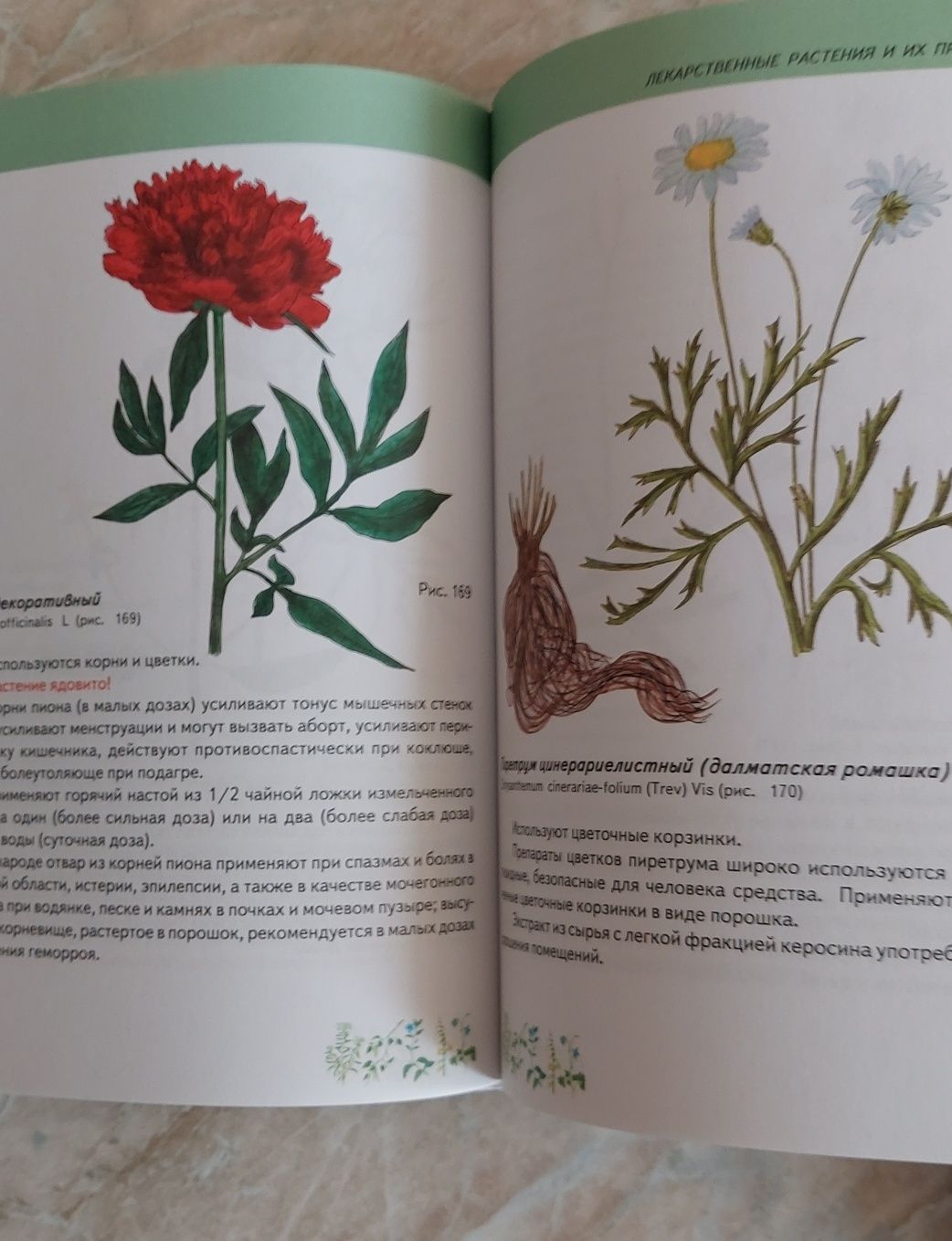 Энциклопедия лекарственных растений новая