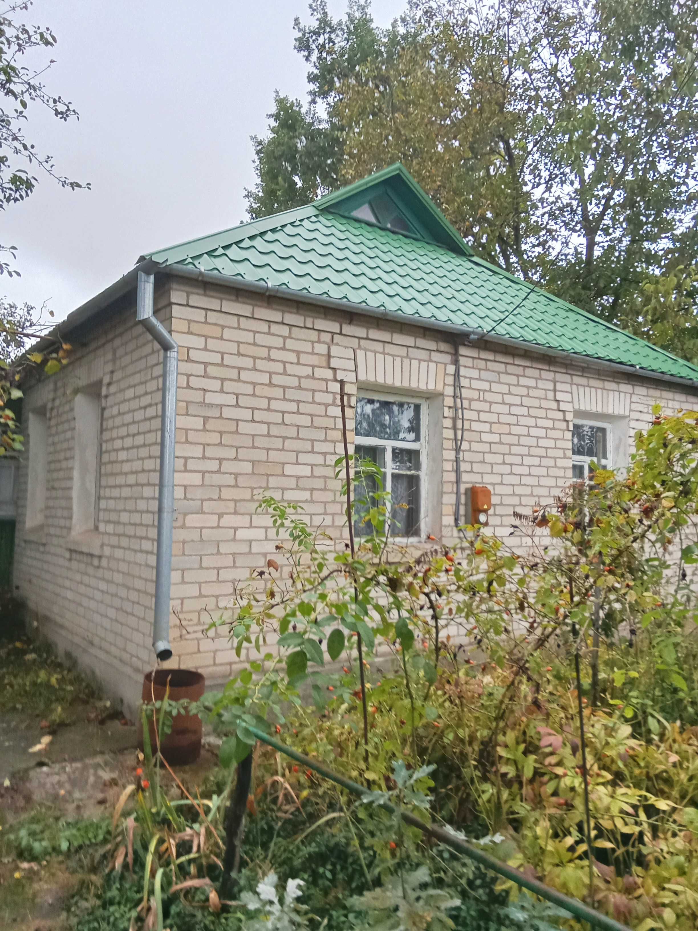 с.Бишів, Фастівський (раніше Макарівський) район, житловий будинок
