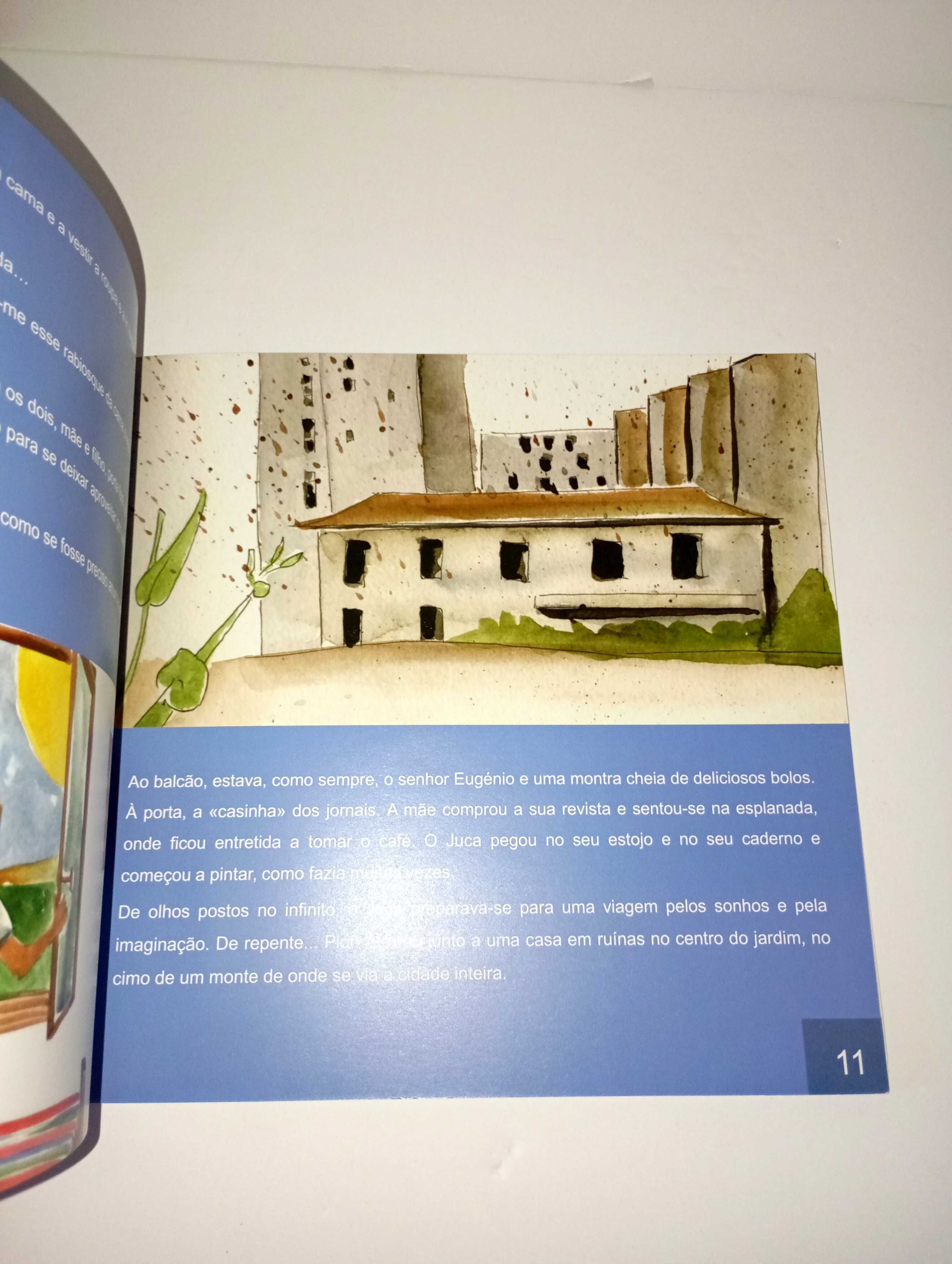 Juca - o amigo guardião da casa das cores
