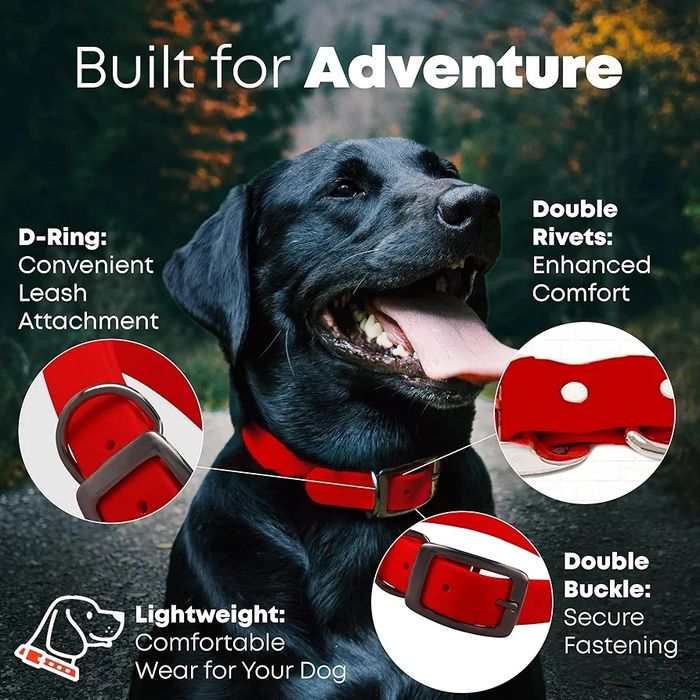 Niezniszczalna Obroża Regał Dog z  dodatkowym pierścieniem  E