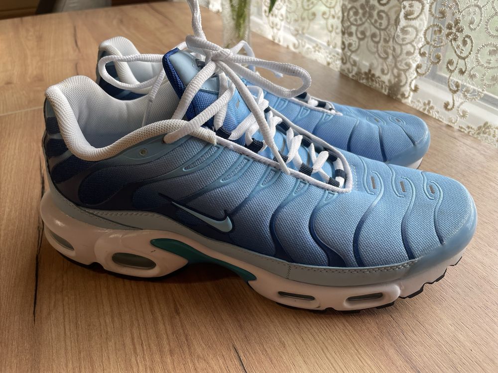 Кросівки Nike Air Max Plus (FJ4736-400) 46 розмір