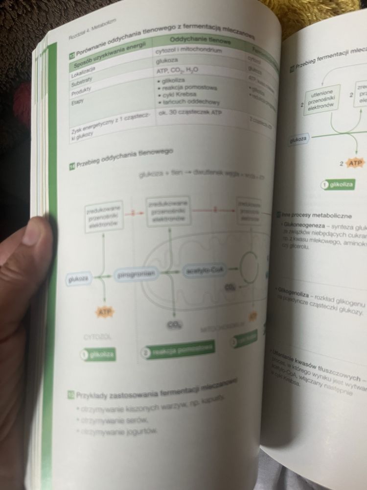 Biologia na czasie 1 zakres podstawowy PWSM