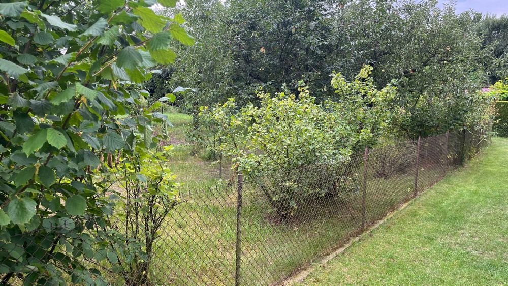 Działka ROD Malwa w Milanówku (ul. Turczynek)