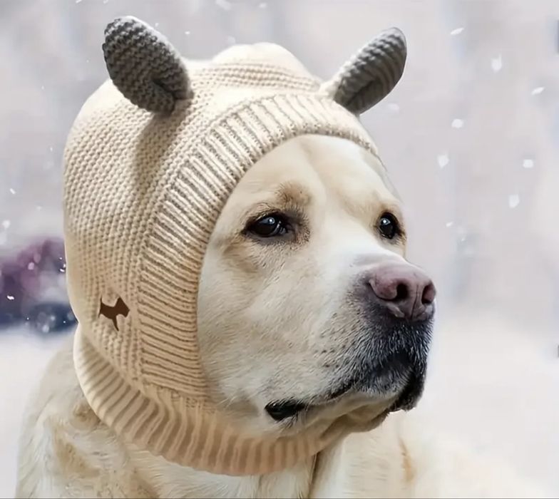 Шапка зимова для собаки