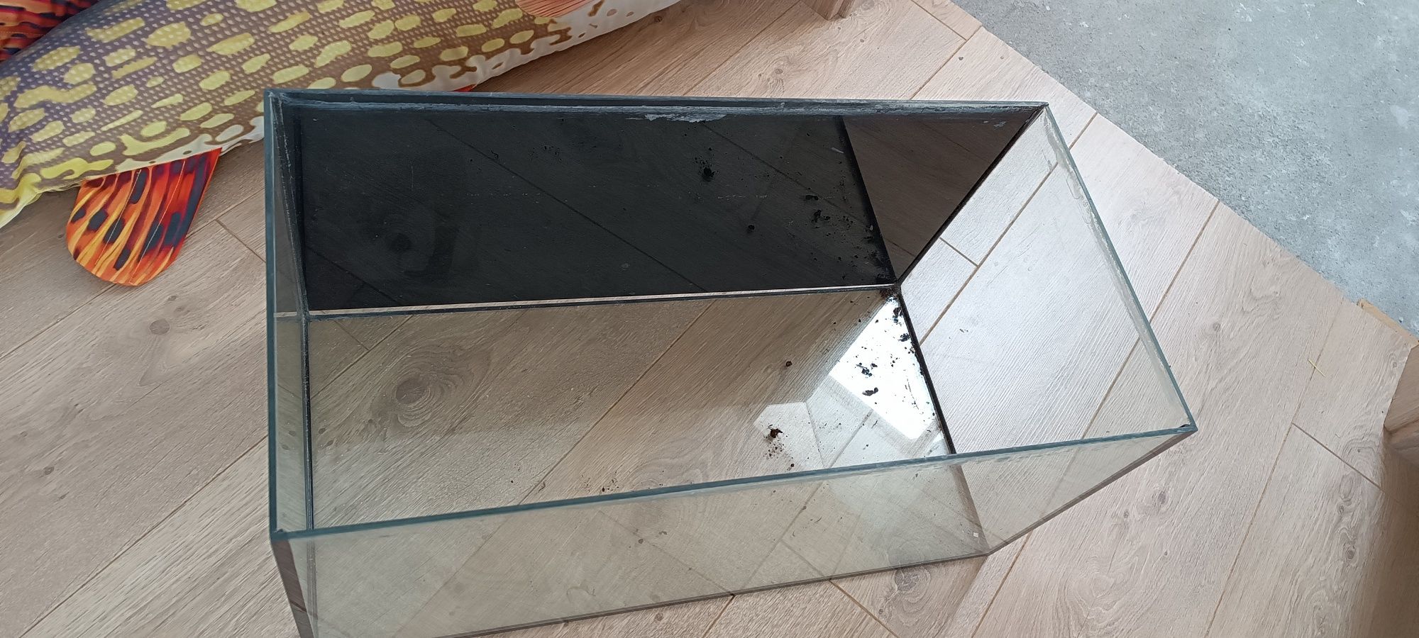 Akwarium terrarium