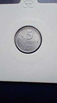 Stare monety 5 groszy 1970 PRL stan menniczy