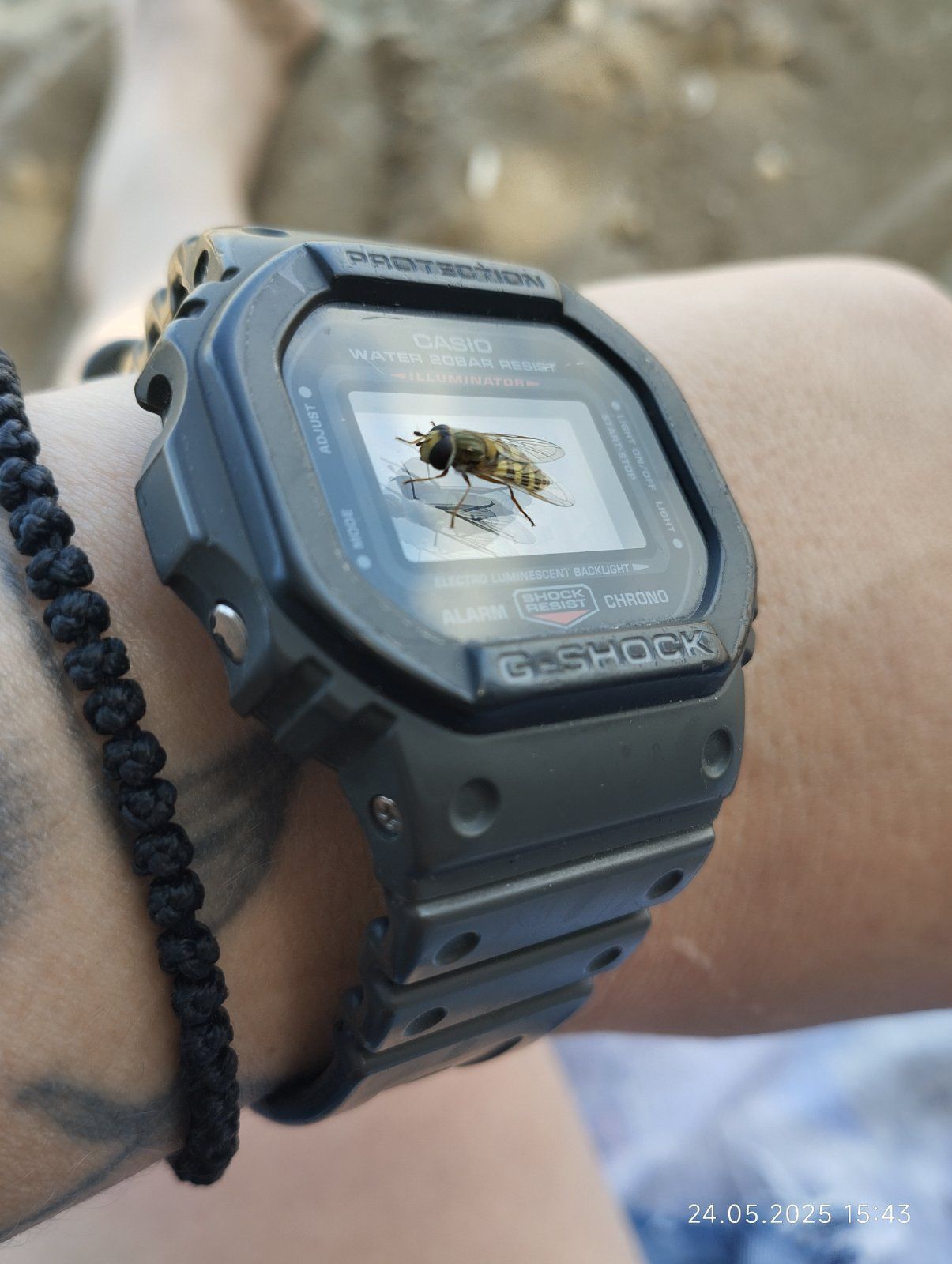 Casio Dw5610Su-01