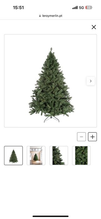 Pinheiro de natal