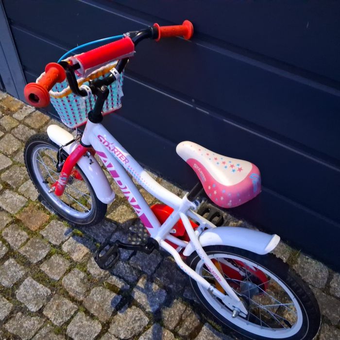 Rower dziecięcy Alpina Starter 16