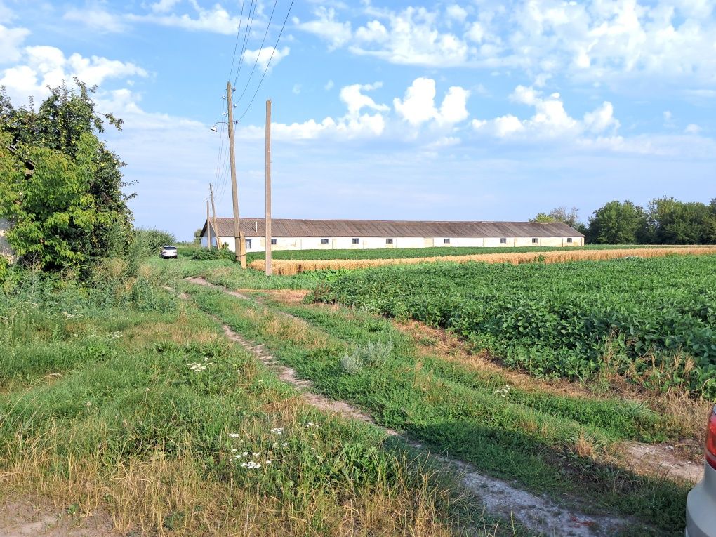 Продаж Сільгосп.будівлі Свинарник