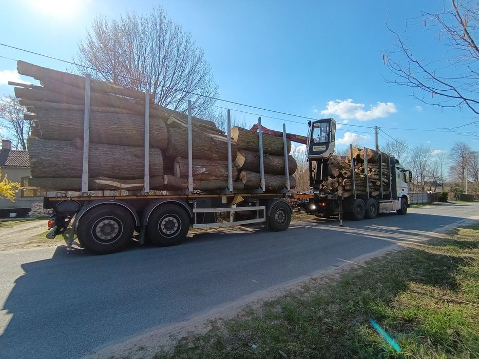 Za darmo wycinka usuwanie drzew