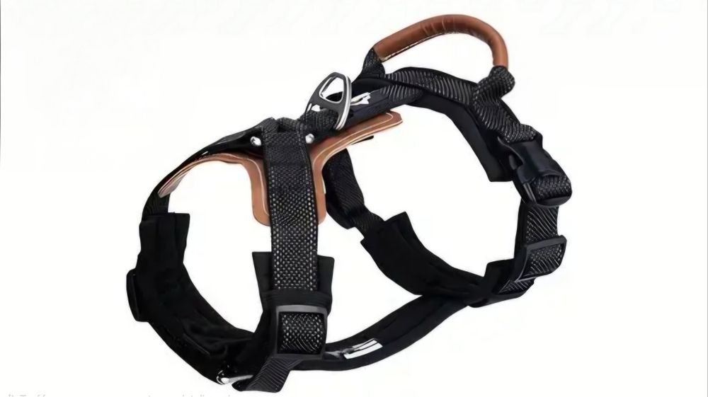 Szelki premium dla psa