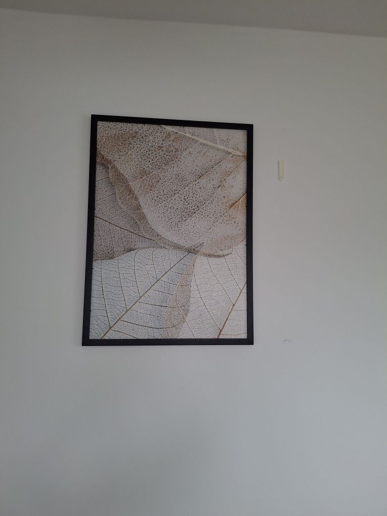 Obrazy dyptyk 53x73cm uszkodzone