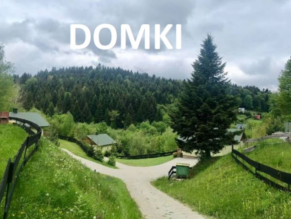 Apartamenty  Domki Pokoje Jacuzzi Bieszczady Nad Jeziorem Las w Górach