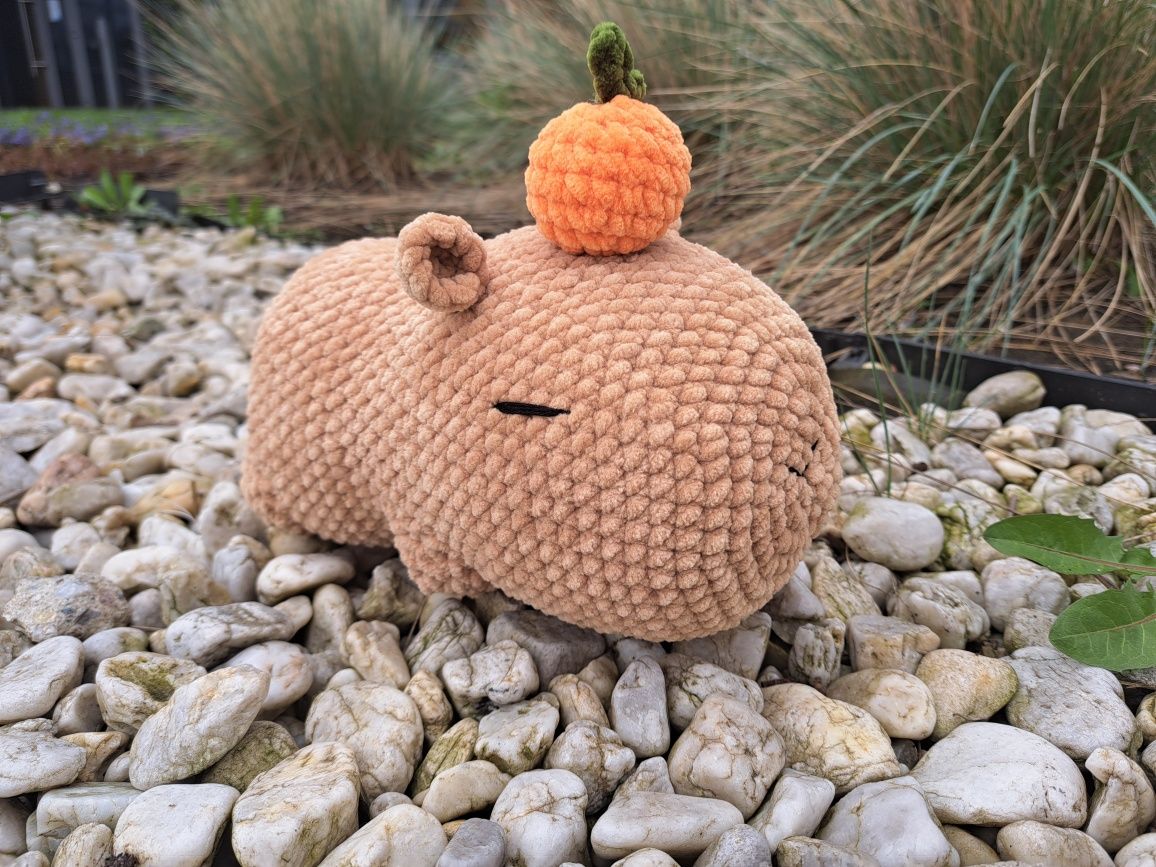 Kapibara, capybara, pluszak, nowy, handmade