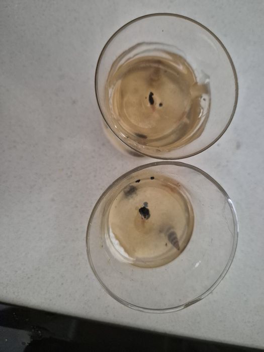 Velas de gel em recipiente de vidro