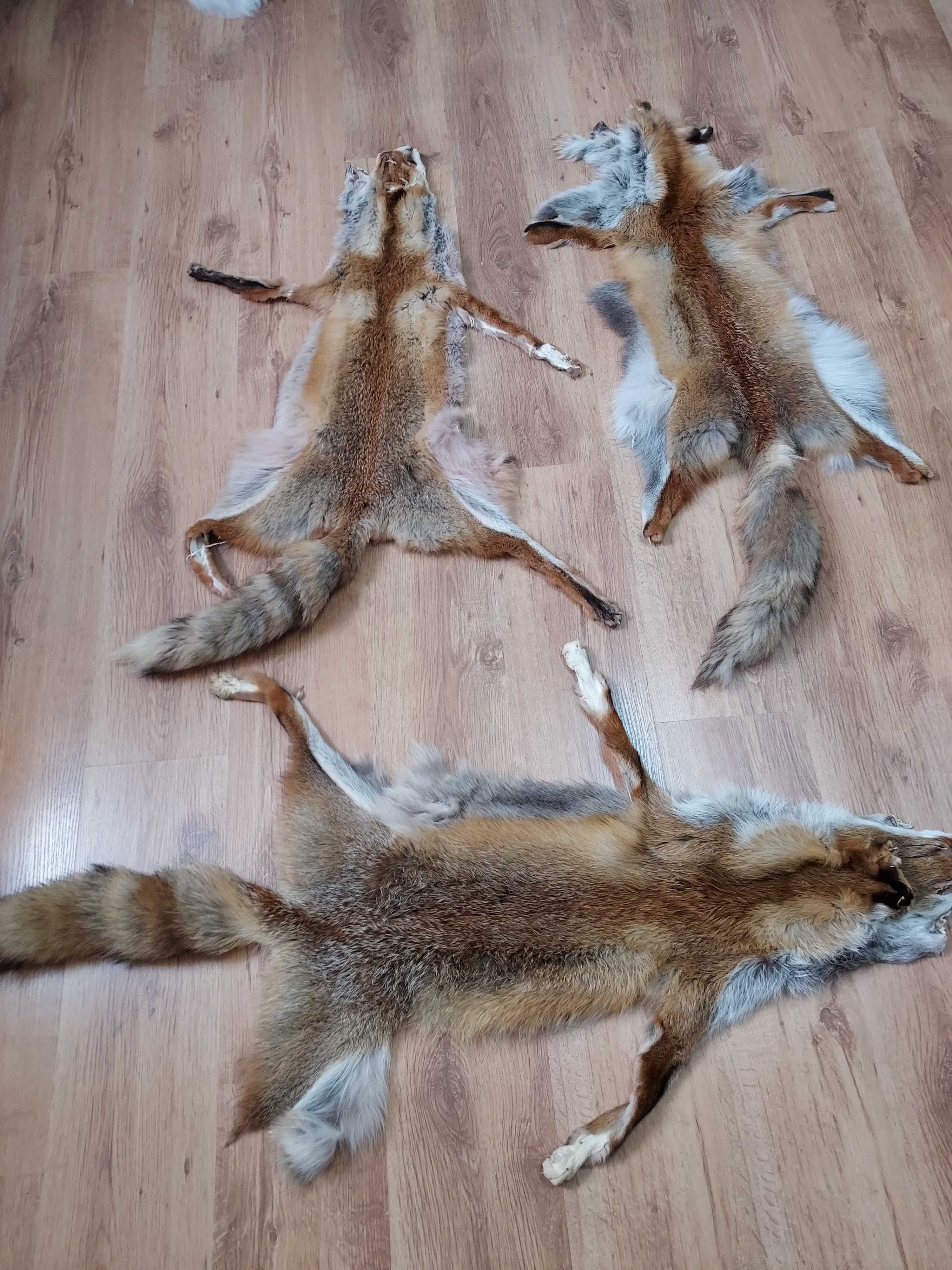 Skóra Dekoracyjna naturalna z Lisa Rudego Futro z Lisa Skóra