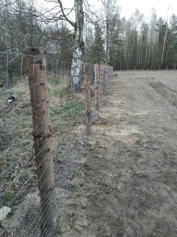 Ogrodzenie budowlane tymczasowe siatka leśna - najwyższa jakość