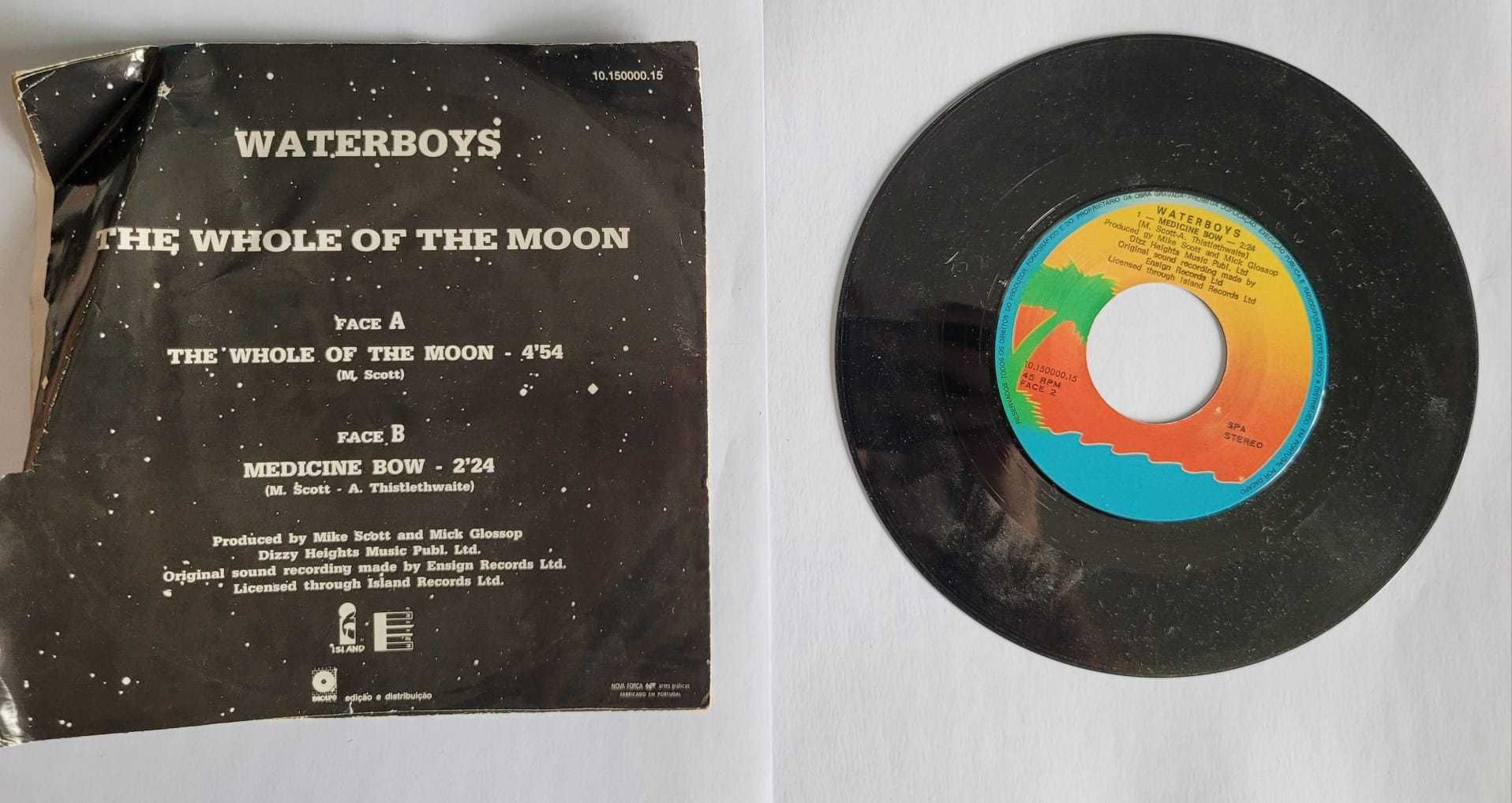 Vinil Waterboys - the whole of the moon