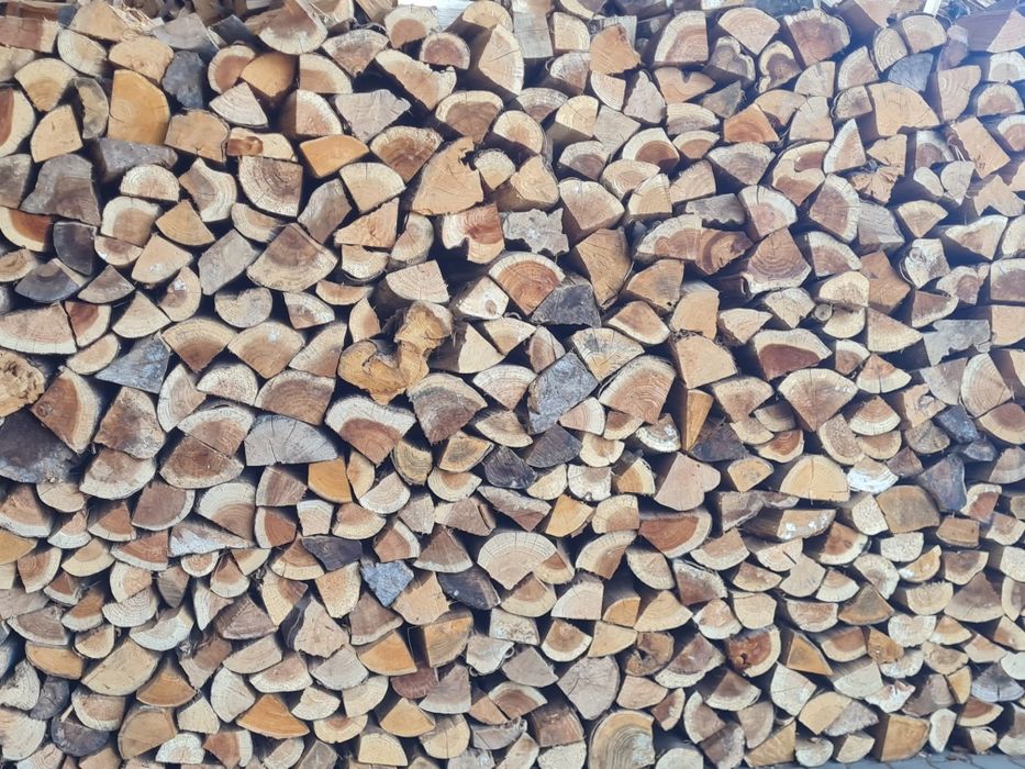 Lenha seca qualidade