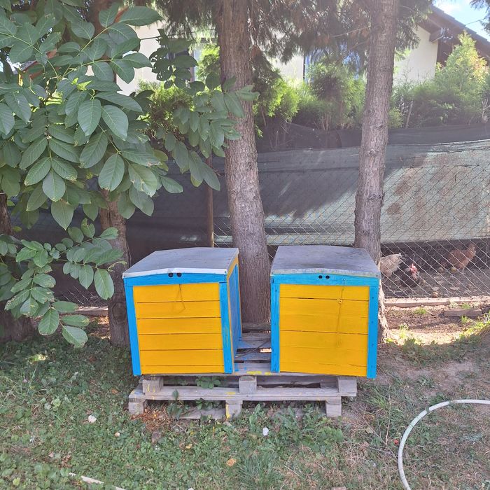 Ule warszawskie 2 szt