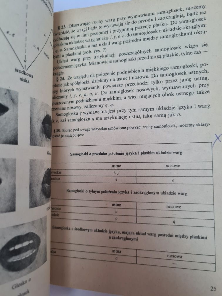 Podręczna gramatyka języka polskiego - Książka