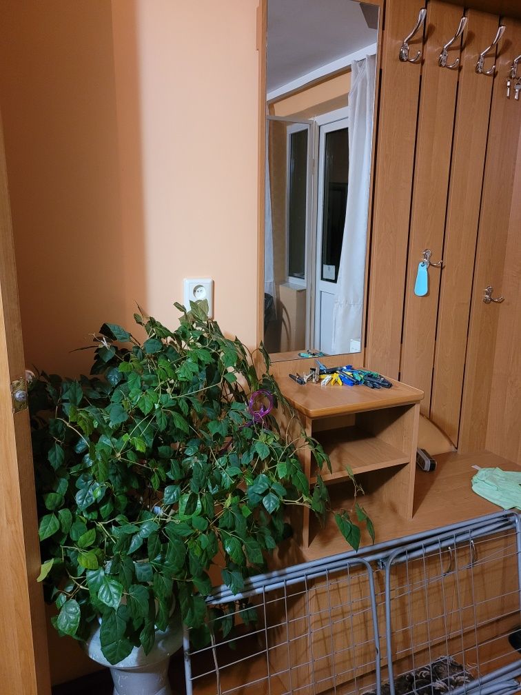 Оренда 1 км.кв.вул.Миру(в особняку),все необхідне,тільки 1 особу