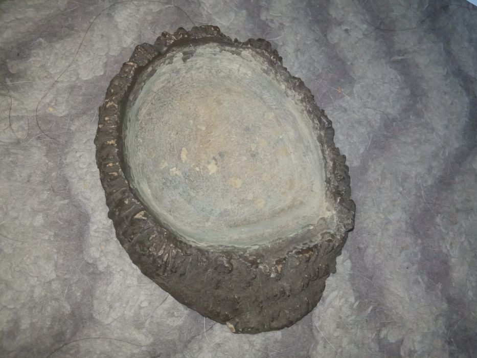 basen/miska do terrarium.