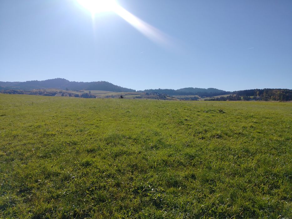 Działka grywałd polna