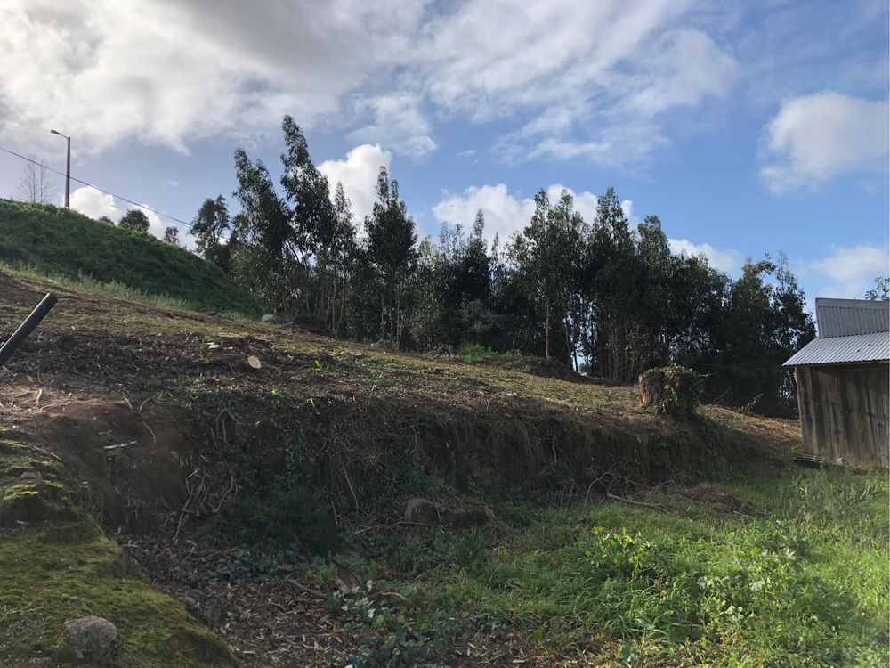 Serviços de jardinagem/Limpeza de terrenos