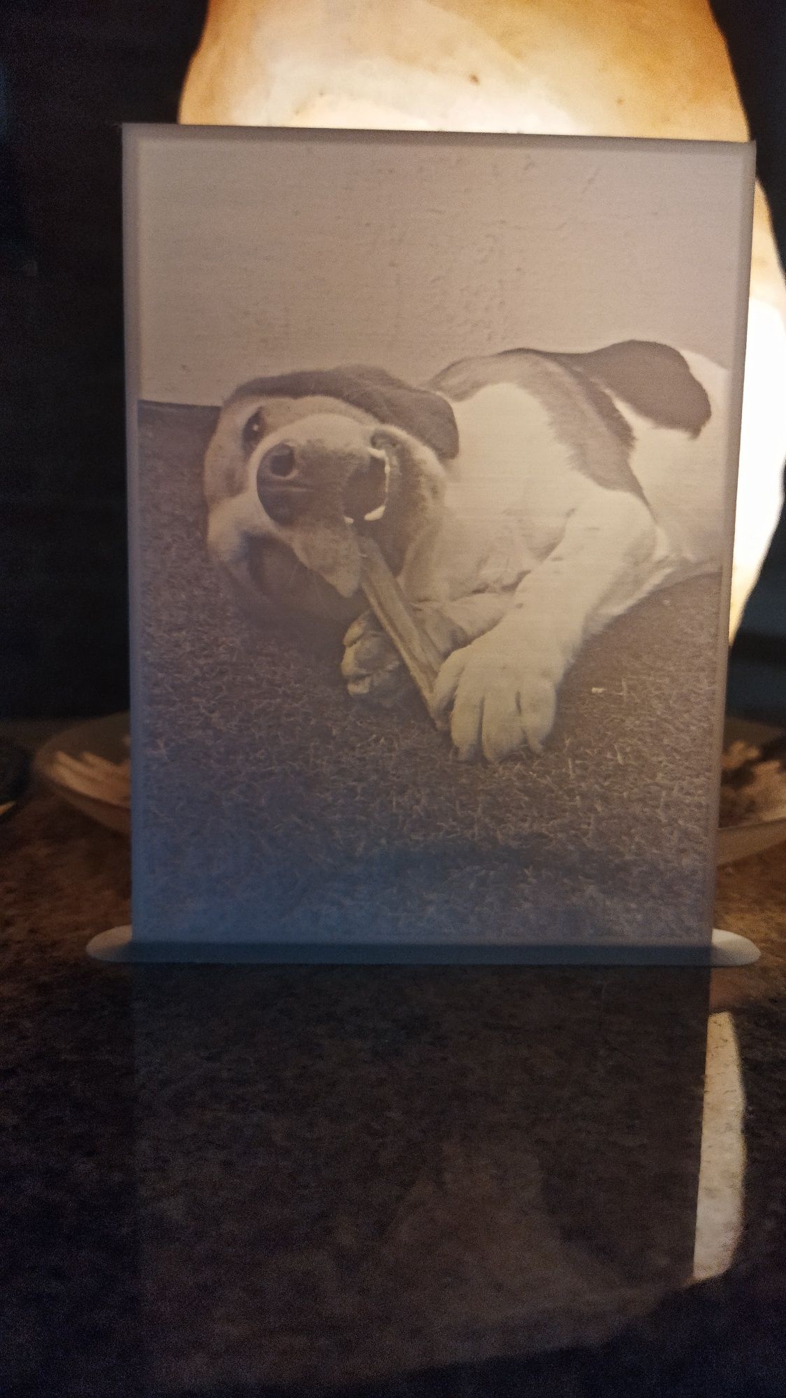 Imprimo fotografias em Lithophane