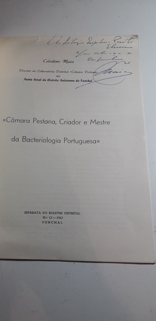 Câmara Pestana, Criador e Mestre da Bacteriologia Portuguesa