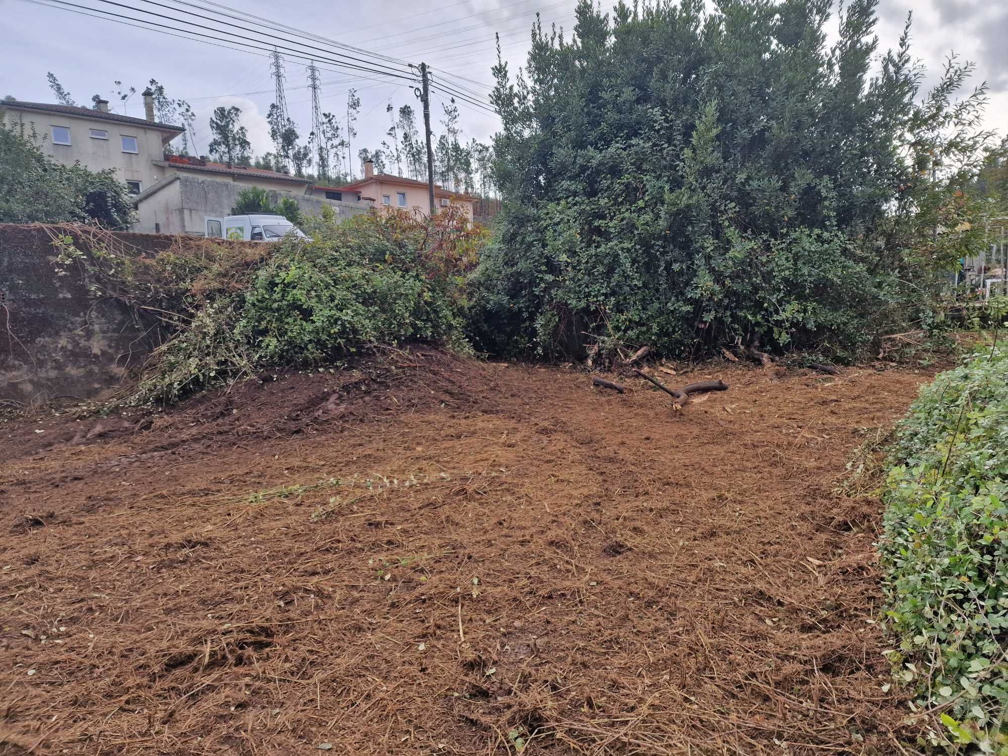 Limpeza terrenos,trabalhos agrícolas,manutenção jardins, CONCELHO Sª M